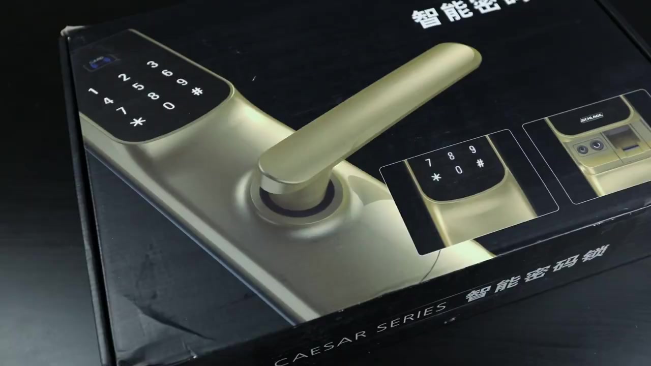 西勒奇(schlage)智能指纹锁sc1201电子锁c级锁芯家用防盗门密码锁